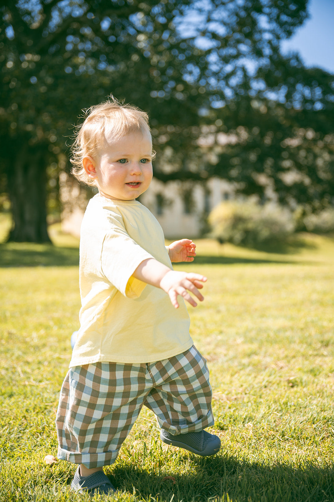 A toddler standing on a sunny grassy lawn, wearing a pale yellow short-sleeve shirt and brown-and-white plaid pants, with trees and a house blurred in the background.